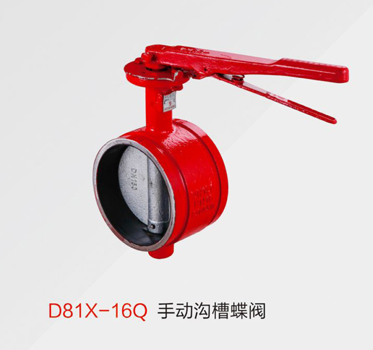 D81X-16Qֶ۵